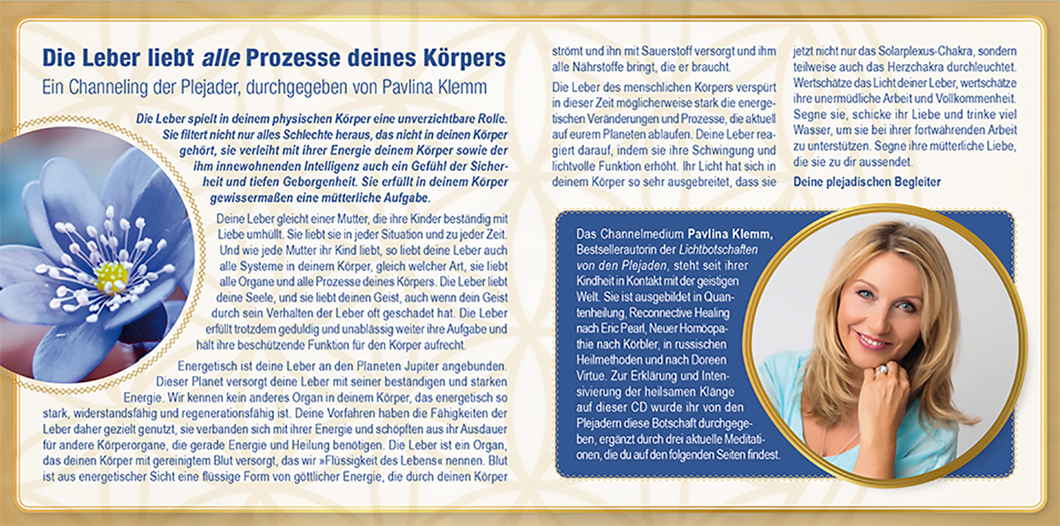 Leber Aktivierung – Bild 2