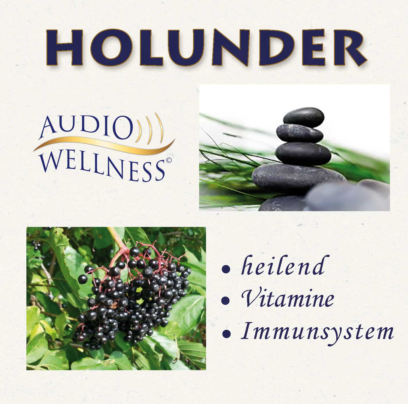 Duft & Klang  Holunder